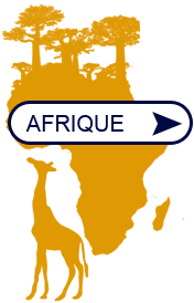 voyages-univers-diaspora-afrique.png