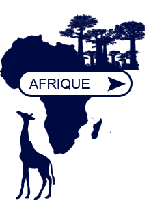 voyages-univers-diaspora-afrique-bleu.png